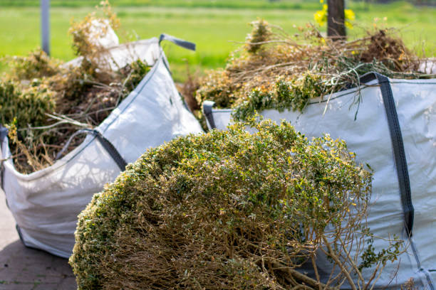 Trash Removal Near Me in Sublimity, OR